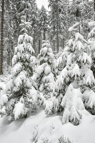 Paisagem de inverno na montanha polonesa - HQ — Fotografia de Stock