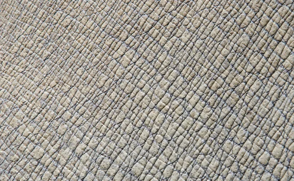 Texture della pelle di Rhino — Foto Stock