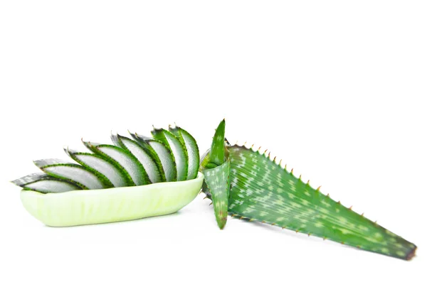 Aloe vera dilimlenmiş ve bütün — Stok fotoğraf