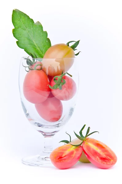 Tomater stil lycopersicon exculentum kvarn i glas — Stockfoto