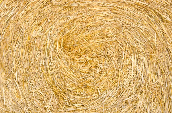 Bale roll straw texture background — Stock Photo, Image
