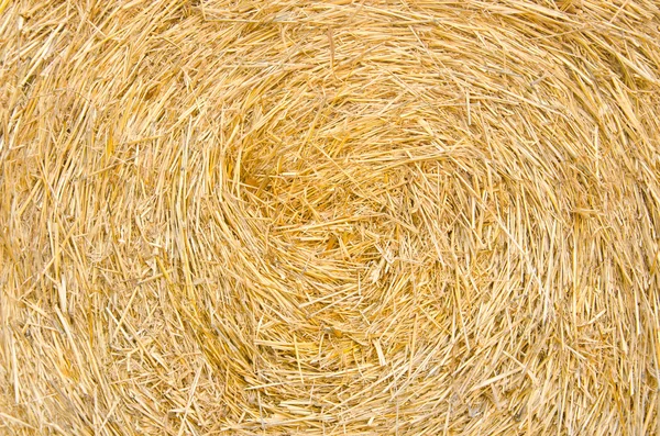 Bale rollo paja textura fondo — Foto de Stock