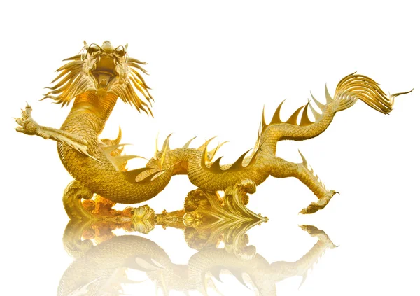 Reus gouden chinese draak — Stockfoto