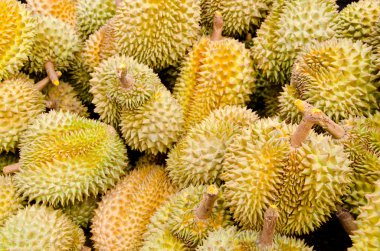Durian, meyvelerin kralı, Tayland 'da ünlü meyve.