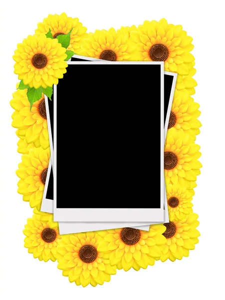 Empty instant photos and sunflowers — Stock Photo, Image