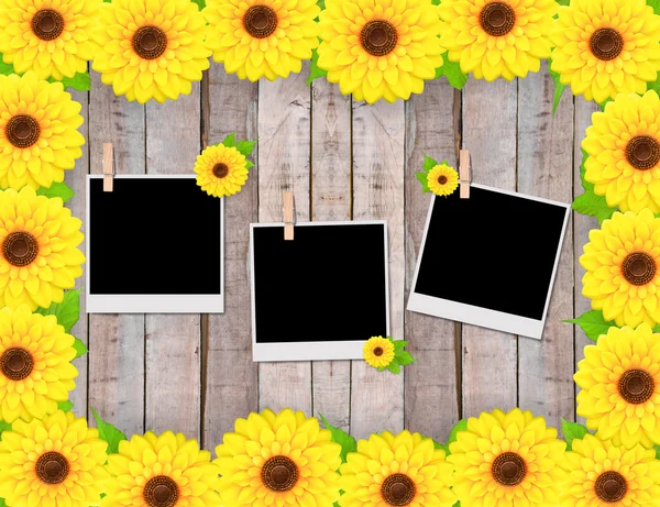 Empty instant photos and sunflowers — Stock Photo, Image