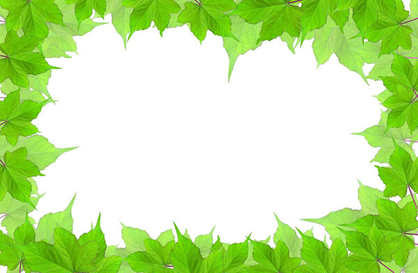 Leaves frame