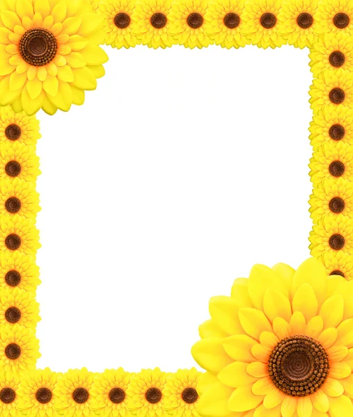 Slunečnice rámec — Stock fotografie