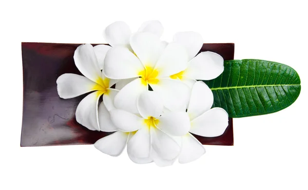 Fiori di plumeria e foglie su un piatto di legno — Foto Stock