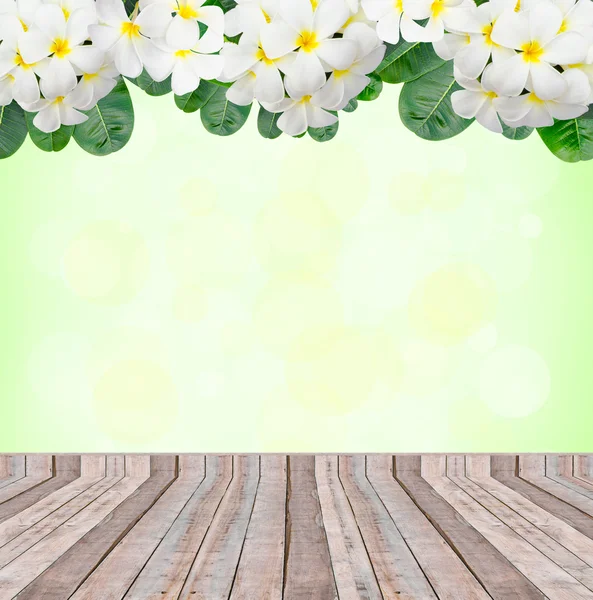 Plumeria frame and leaves and wood bridge — Stock Photo, Image