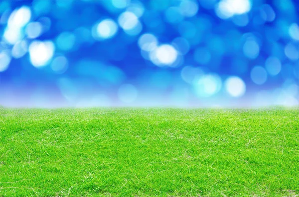 Green field and blue bokeh — Stock Photo, Image