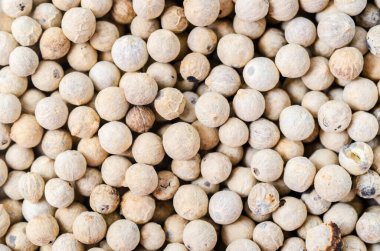 Arka plan olarak kurutulmuş beyaz biber tohumları dokusu.