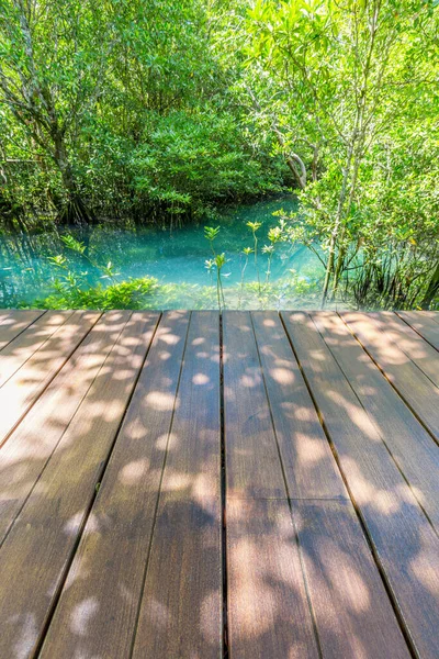 Houten Brug Naast Tropische Boomwortels Kanaal Natuur Achtergrond — Stockfoto