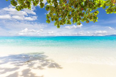 Tayland 'daki Similan adalarındaki güzel kumsal ve mavi gökyüzü. Tatil tatili arka plan duvar kâğıdı. 