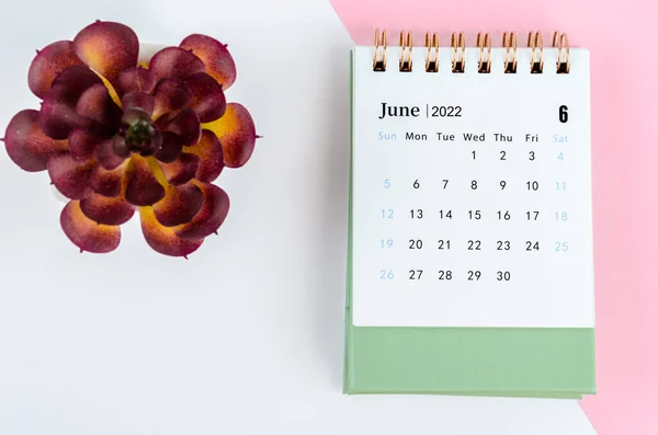 Calendario Escritorio Junio 2022 Con Maceta Árbol — Foto de Stock