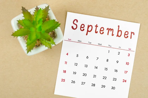 Календарь Сентябрь 2022 Года Цветочным Горшком Бумажном Фоне — стоковое фото