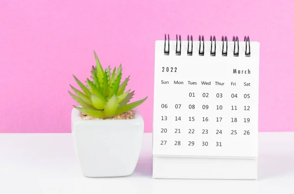 Calendario Escritorio Marzo 2022 Con Maceta Sobre Fondo Rosa — Foto de Stock