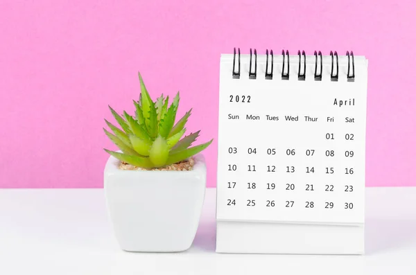 Ημερολόγιο Του Απριλίου 2022 Γραφείο Γλάστρα Ροζ Φόντο — Φωτογραφία Αρχείου