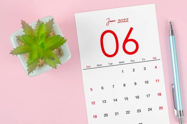 Juni 2022 Kalender Plant Pot Met Pen Roze Achtergrond — Stockfoto