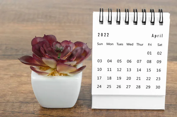 April 2022 Desk Calendar Plant Pot Wooden Table — Stock Photo, Image