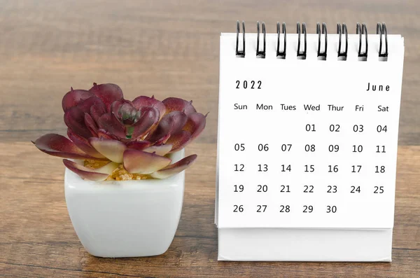 June 2022 Desk Calendar Plant Pot Wooden Table — Stock Photo, Image