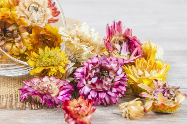 The Dried straw flower heads in cup on wooden background.