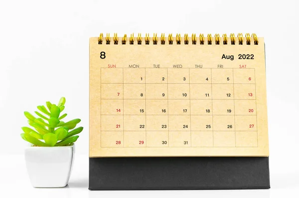 Augusti 2022 Skrivbord Kalender Med Växtkruka Vit Bakgrund — Stockfoto
