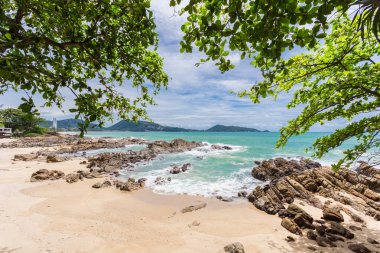 Yaz tatili ve yaz mevsiminde tropik plajlarda güzel yapraklar çerçeveli ağaçlar konsepti