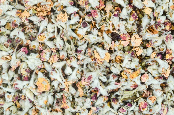 Flower Tea Dried Apple Blossom Textured — Foto de Stock