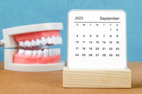 Setembro 2023 Calendário Mensal Para 2023 Ano Com Dente Modelo — Fotografia de Stock