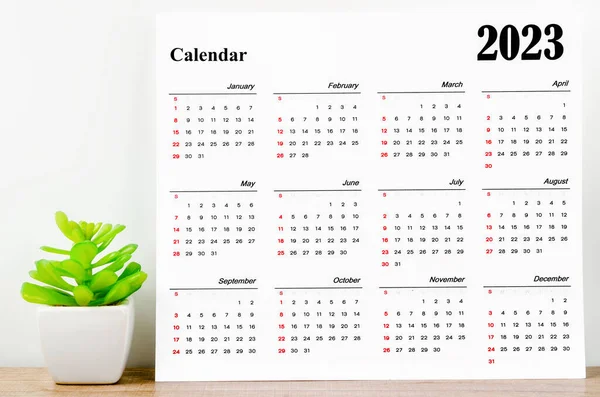 Months Desk Calendar 2023 Wooden Background Plant Pot — Stock Photo, Image