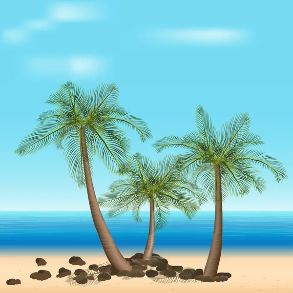 Palm trees with green leaves — Stock Vector