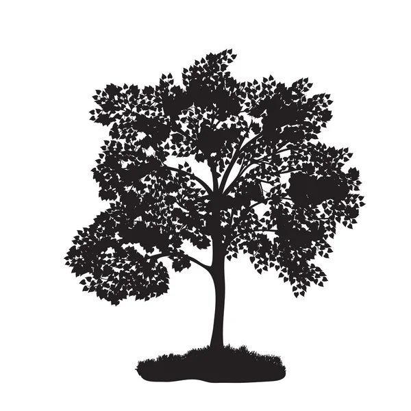 Pictogramă copac cu frunziș luxuriant — Vector de stoc