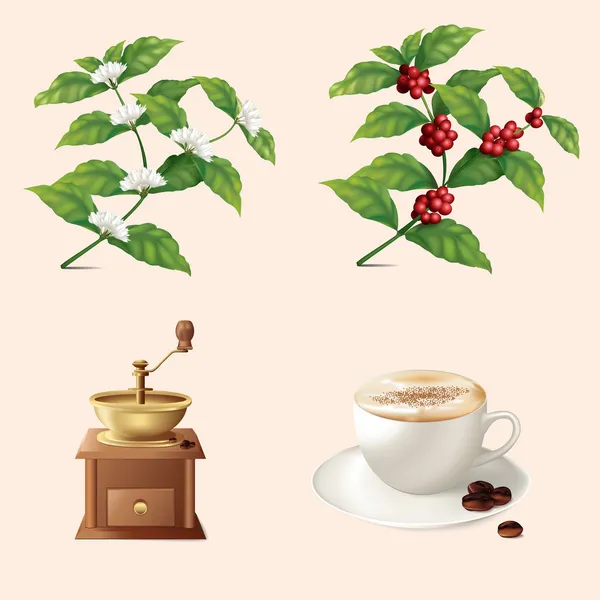 simgeler kahve: Kahve değirmeni, kupa, kahve taneleri