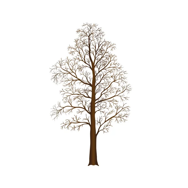 Detached tree without leaves, vector illustrations Royalty Free Stock Vectors