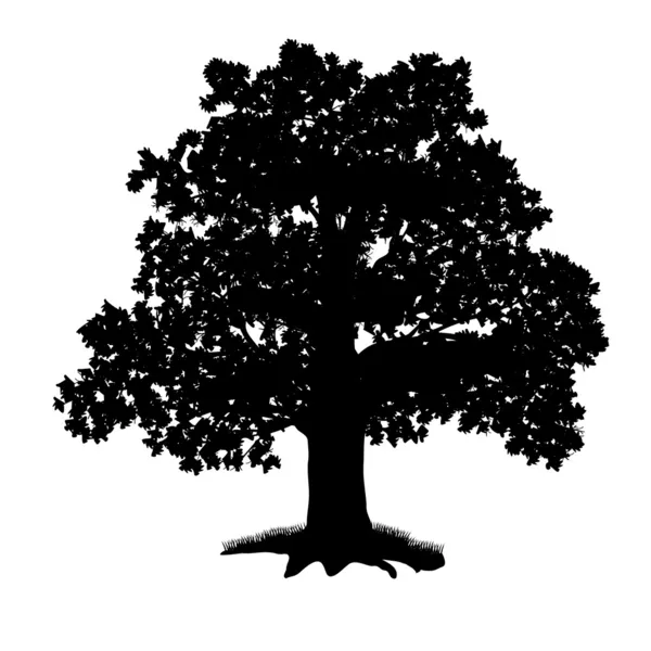 Meşe ağacı siluet yaprakları ile — Stok Vektör