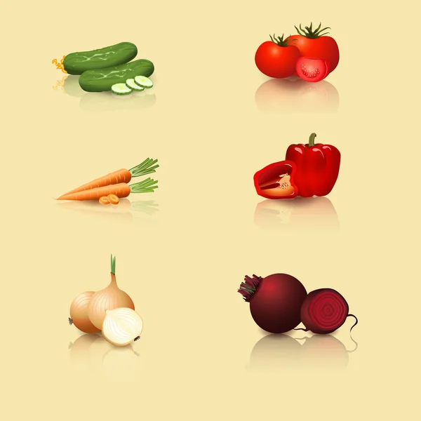 Vegetables: tomatoes, carrots, peppers, cucumber, onion — Stock Vector