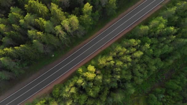 Auto 's rijden langs een asfaltweg, er is een groen bos rondom. Bovenaanzicht. Liften. Bosweg. — Stockvideo