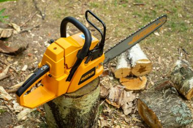 Sarı testere. Sokakta ortak, yakındaki odunu kesmiş..