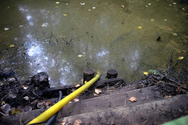Pumpvatten från ett kärr i skogen. Slangen går under vattnet i träsket.. — Stockfoto