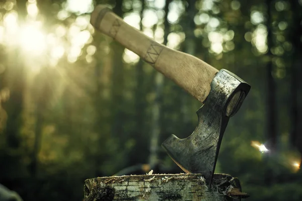 A woodcutters big axe is stuck into a log in the forest, the setting sun in the background.Beautiful artistic photo of an axe. — Stockfoto