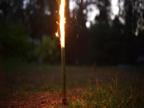 A burning fountain of fireworks sparkles in the ground. Dark evening background. — Video Stock