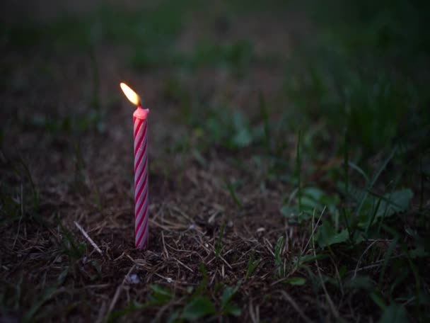 A single candle with a flame is stuck in the ground. Evening background. — Video