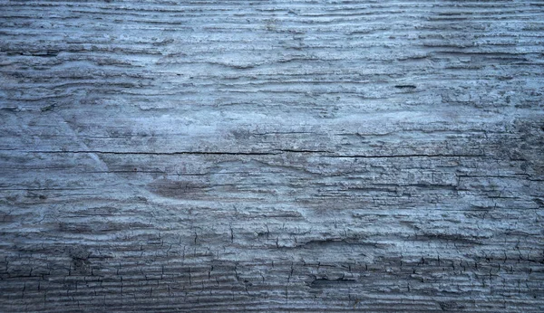 Foto de la textura de un viejo árbol seco en color gris — Foto de Stock