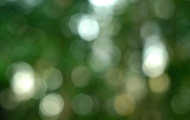 Sanatsal olarak bulanık arkaplan ve yuvarlak bokeh. Bokeh ile yeşil arkaplan.