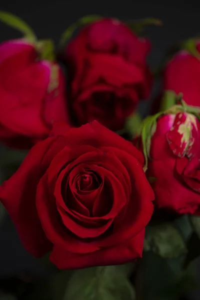 Roses Rouges Sur Fond Noir Avec Flou — Photo
