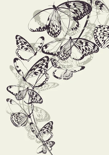 Hermoso fondo vector mariposa — Vector de stock