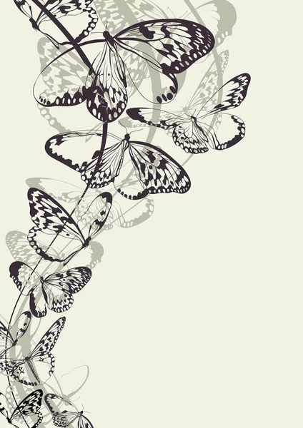 Hermoso fondo vector mariposa — Vector de stock