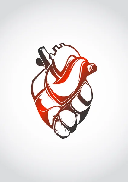Coeur anatomique abstrait — Image vectorielle