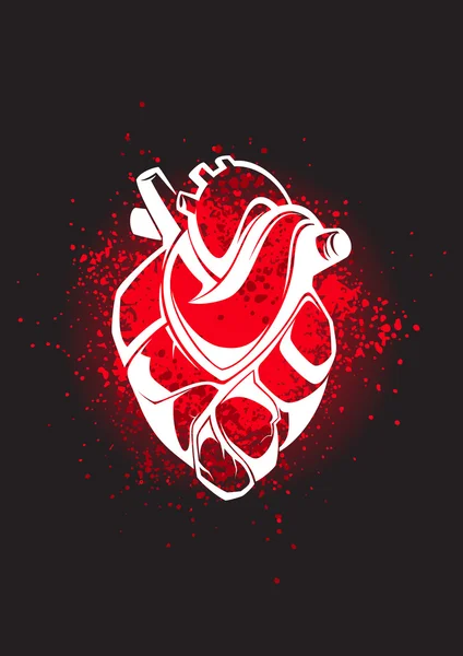 Abstrakt anatomiska hjärtat — Stock vektor